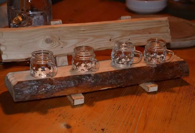 בית מלון כפרי Pension Bergbauernhof Irxner