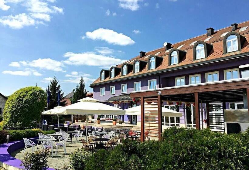 בית מלון כפרי Phoenix