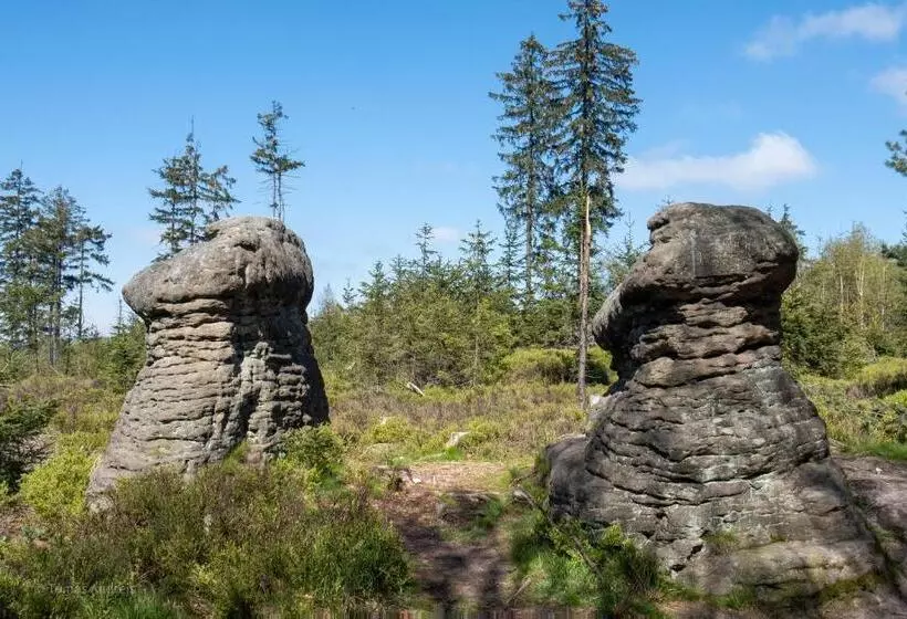 호텔 Tommy Wellness & Spa