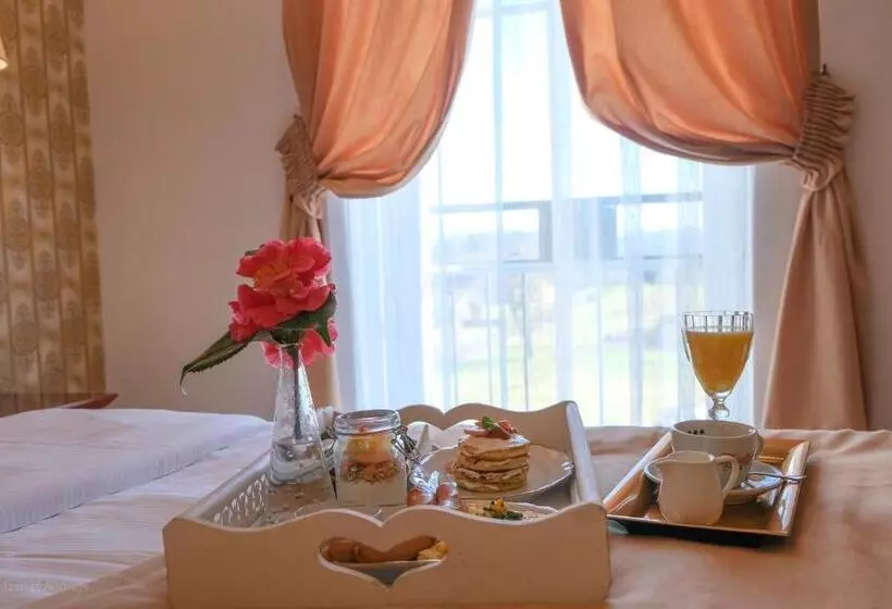 호텔 Tommy Wellness & Spa