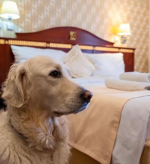 בית מלון כפרי Tommy Wellness & Spa