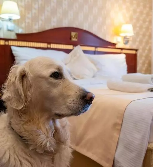 호텔 Tommy Wellness & Spa