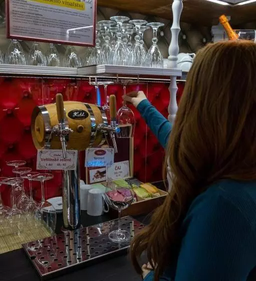 호텔 Tommy Wellness & Spa