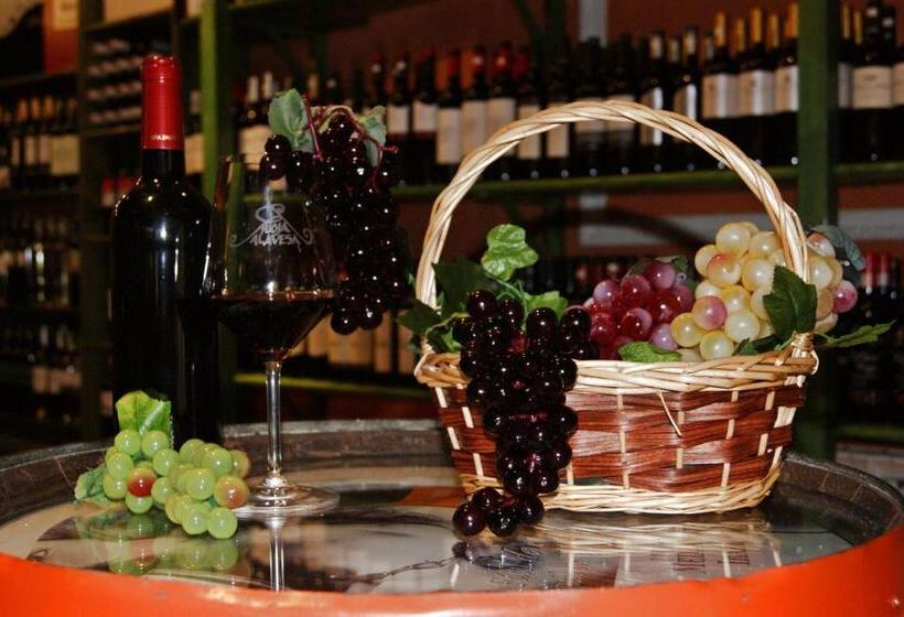 هتل Villa De Elciego