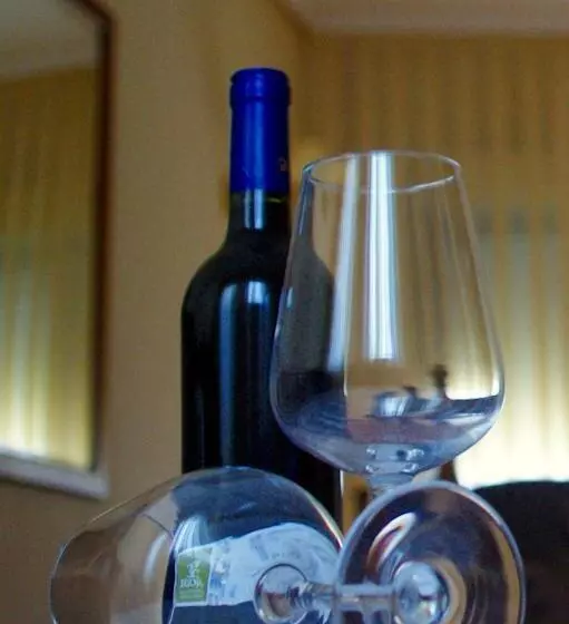 酒店 Villa De Elciego