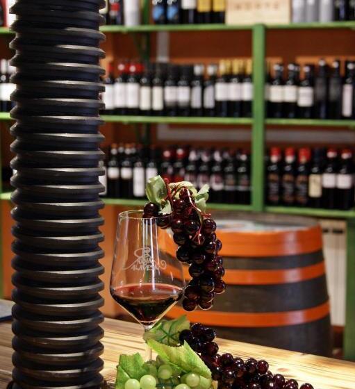 هتل Villa De Elciego