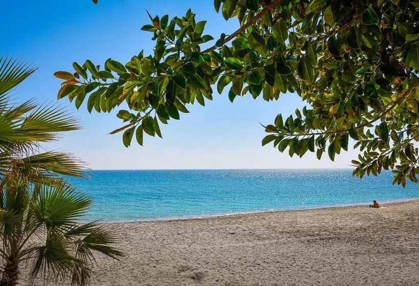 Olée Nerja Holiday Rentals By Fuerte Group