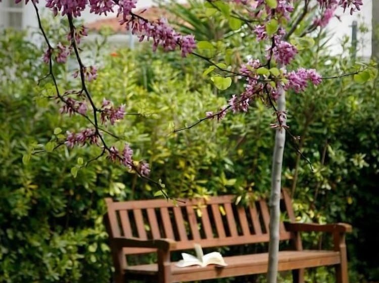 Sg Costa Barcelona Apartments