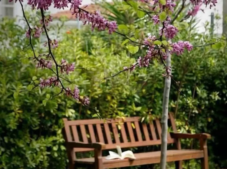 Sg Costa Barcelona Apartments