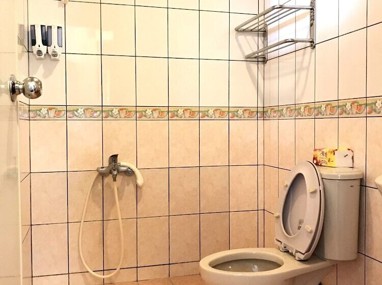 هتل Alishan Mao Hsin