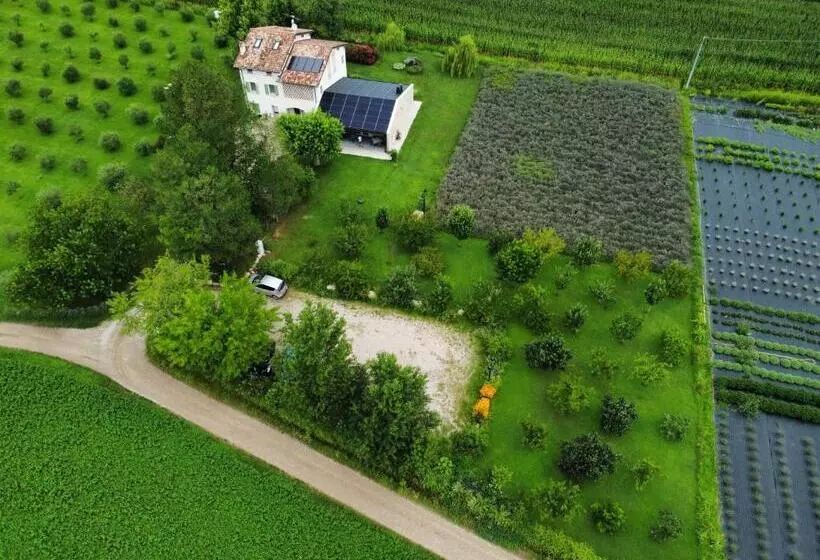 Hotelli Agriturismo Redó