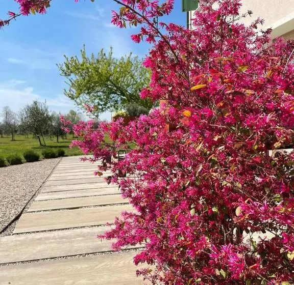 Hotelli Agriturismo Redó