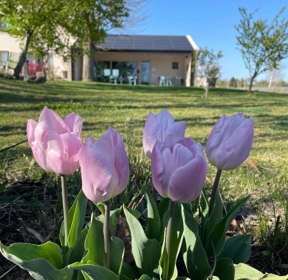 בית מלון כפרי Agriturismo Redó