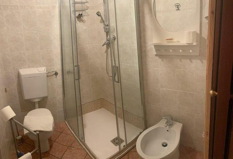 פנסיון L Alpina Affittacamere