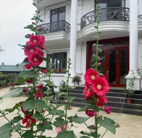 پانسیون The 1996 House
