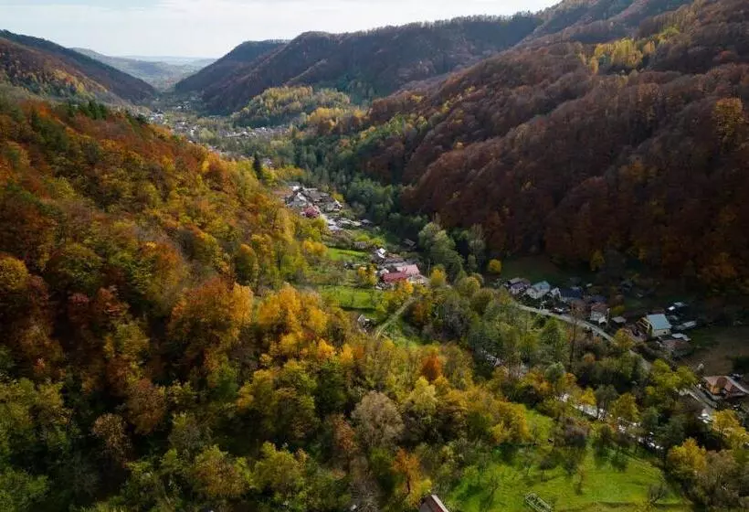 Pensiunea Berg Hill