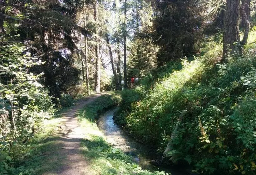 Aamiaismajoitus (B&B) Lo Miete Di Nonni