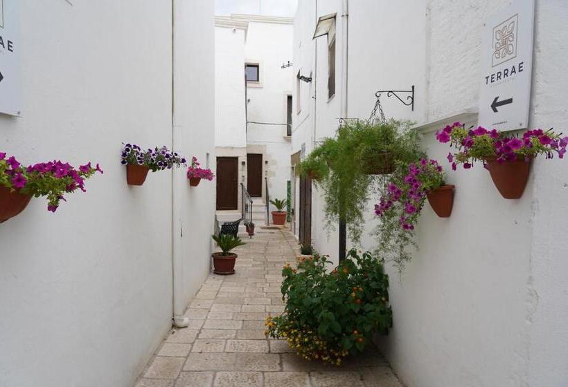 Bed and Breakfast Terrae Rooms Rental