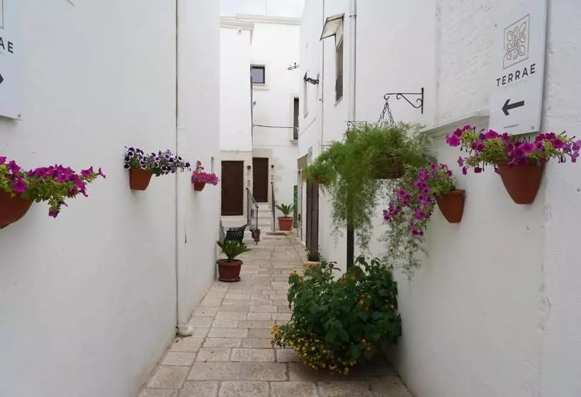 ベッドアンドブレックファースト Terrae Rooms Rental