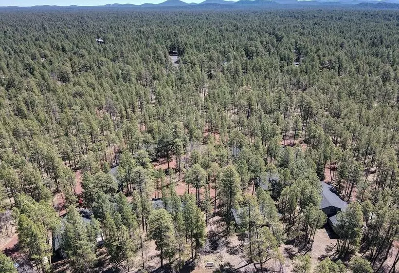 ホテル Buck Springs Resort