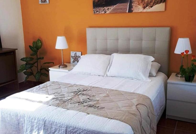 Hotel Lofts Sin Cocina Con A C, Garaje Y Terraza