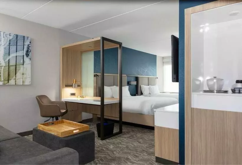 ホテル Springhill Suites By Marriott Durham City View