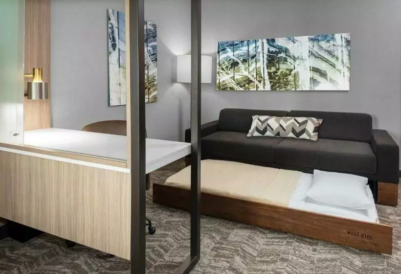 ホテル Springhill Suites By Marriott Durham City View