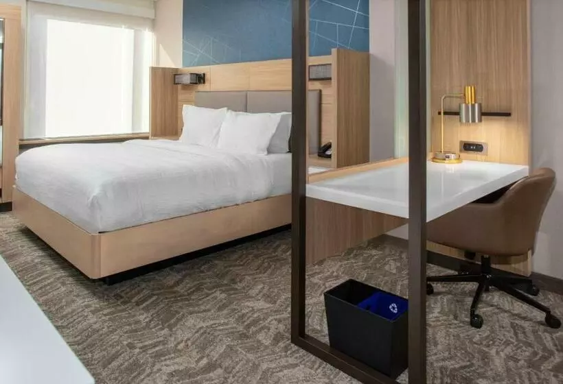 ホテル Springhill Suites By Marriott Durham City View