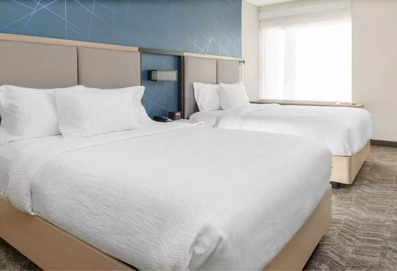 ホテル Springhill Suites By Marriott Durham City View