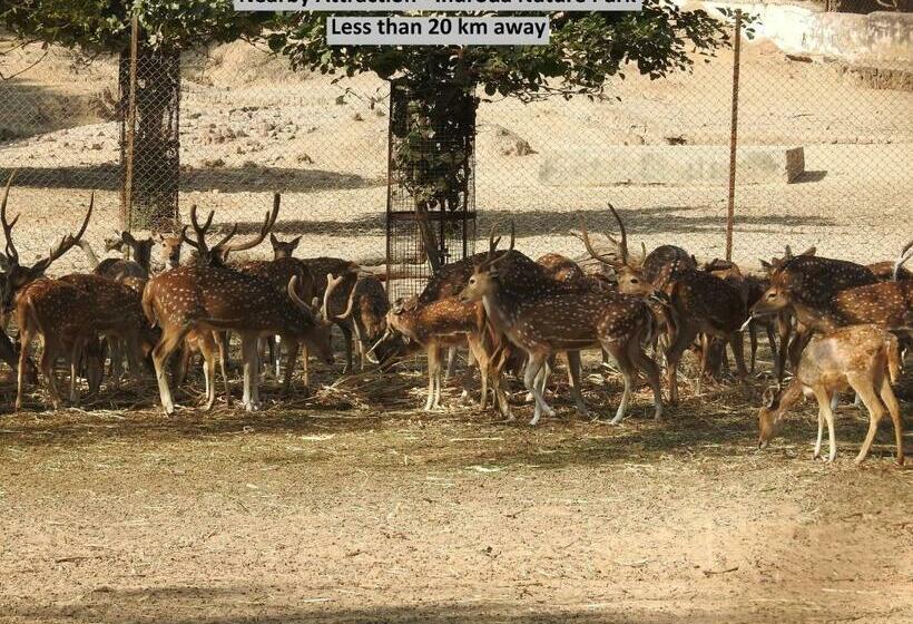 Hotel Townhouse 467 Qubicoz