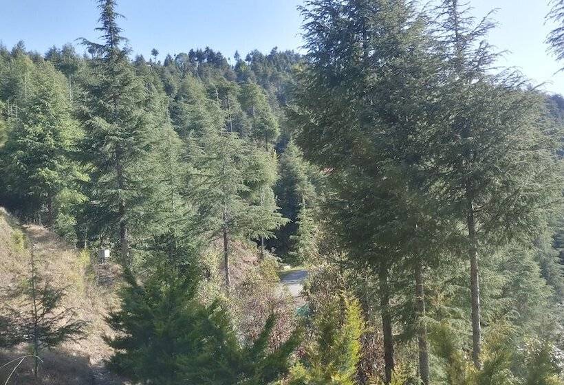 אתר נופש Clarks Exotica Rajgarh