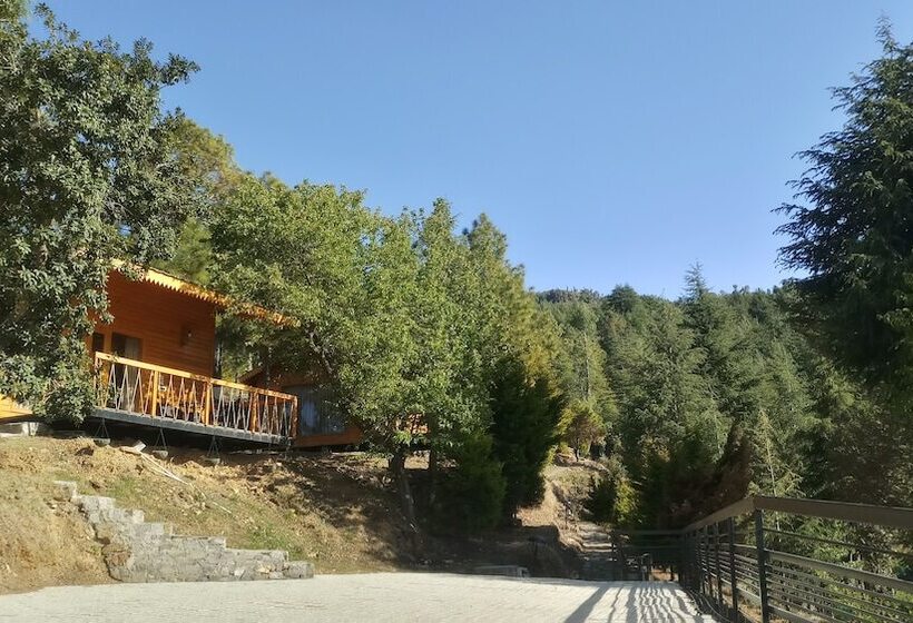 אתר נופש Clarks Exotica Rajgarh