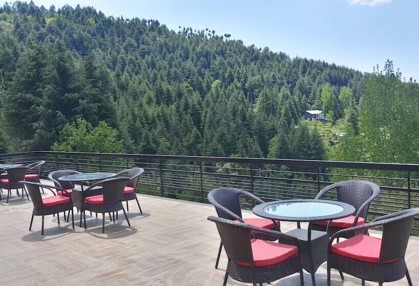 אתר נופש Clarks Exotica Rajgarh