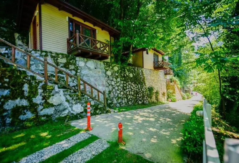 ホテル Naturkoy Sapanca