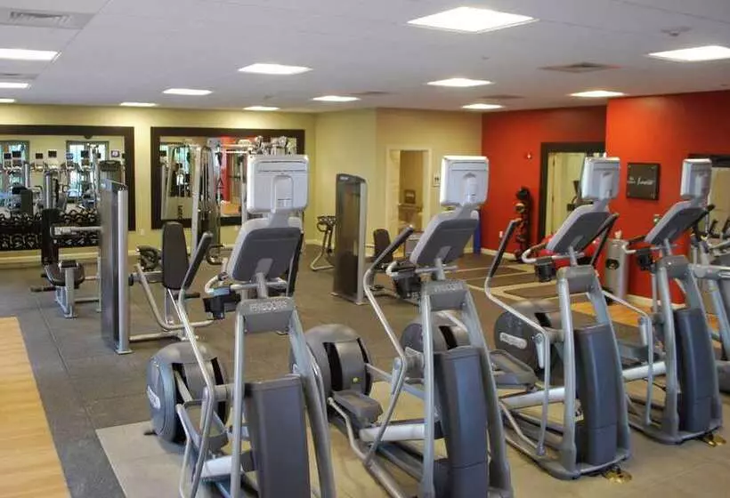 هتل Hilton Grand Vacations Club Parc Soleil Orlando