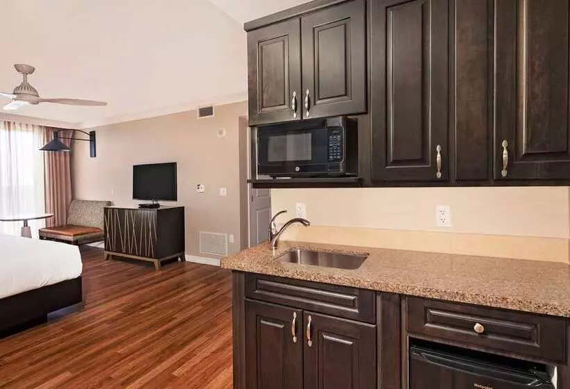 هتل Hilton Grand Vacations Club Parc Soleil Orlando