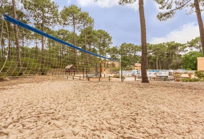 Отель Pierre & Vacances Résidence Les Grands Pins