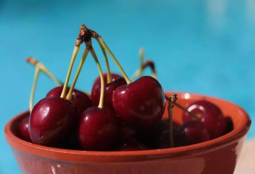 Отель Quinta Formosa