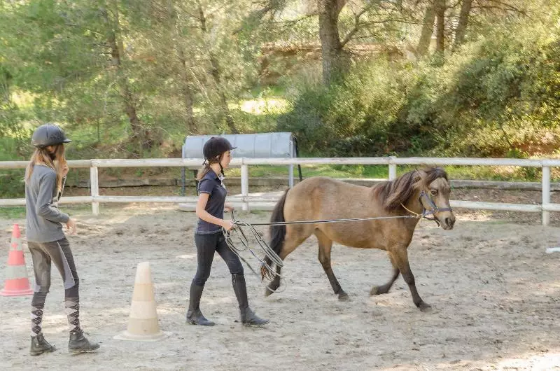 Village Pierre & Vacances Pont Royal En Provence