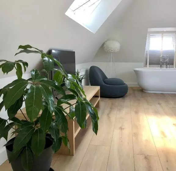 Fietshotel Zee Van Tijd Holwerd