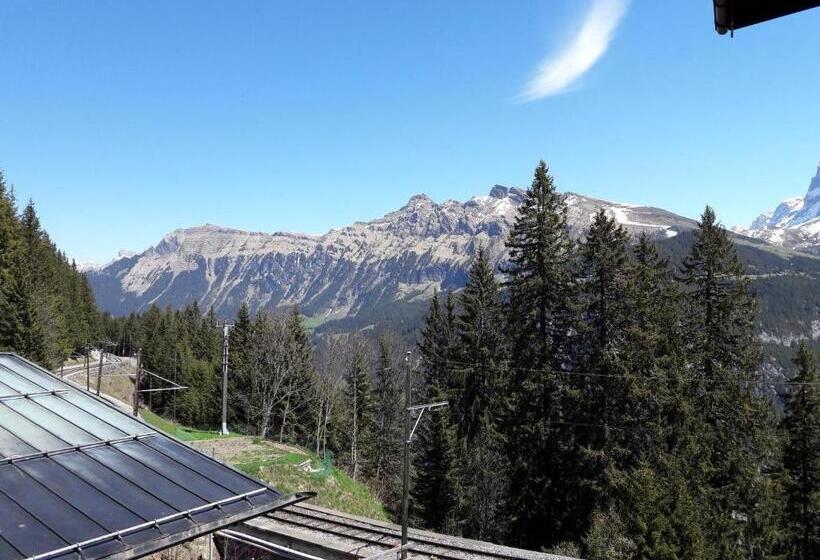 בית מלון כפרי Alpenblick Mürren