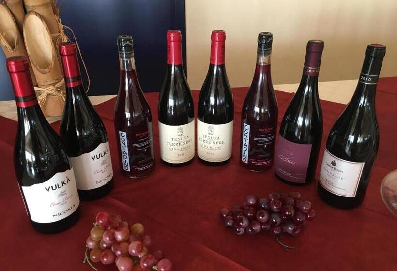 Отель Atlantis Palace