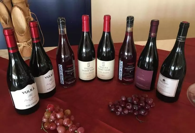 호텔 Atlantis Palace