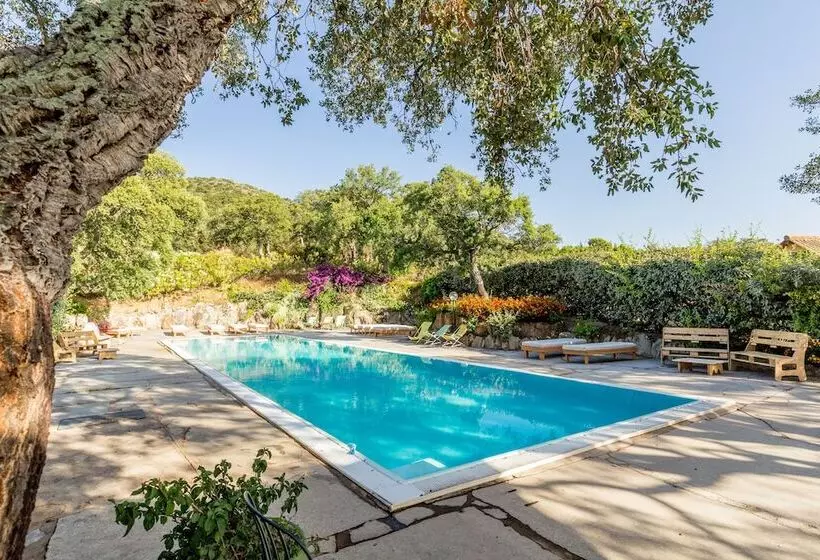 酒店 Borgo Di Campagna