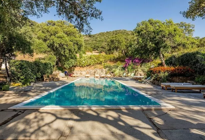 酒店 Borgo Di Campagna