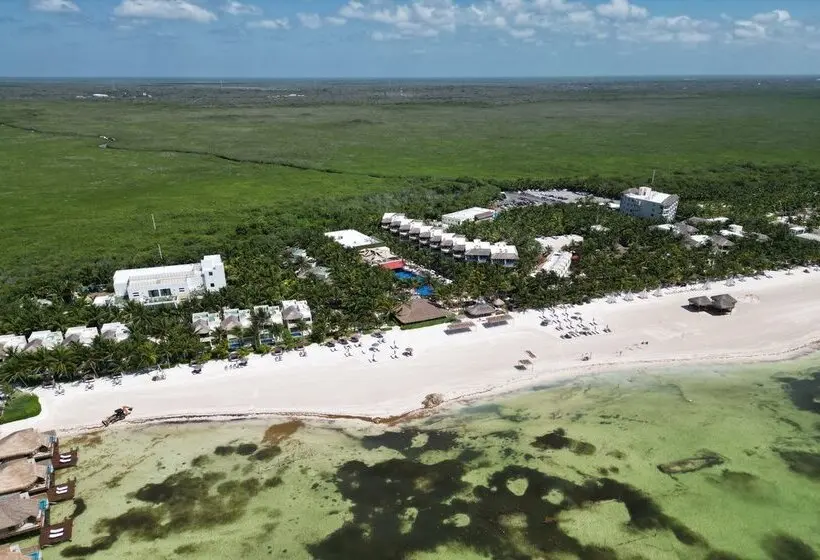 ホテル El Dorado Maroma - All & More Inclusive