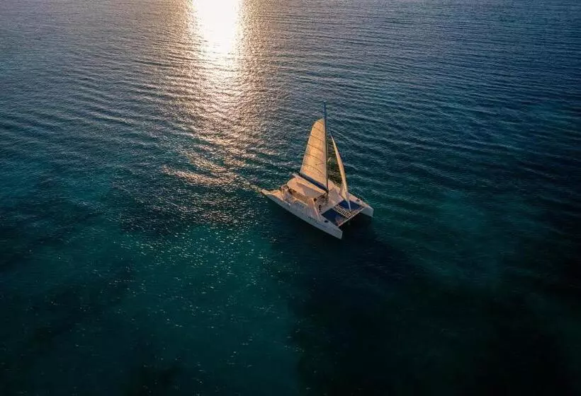 호텔 El Dorado Maroma Catamarán, Cenote & More Inclusive