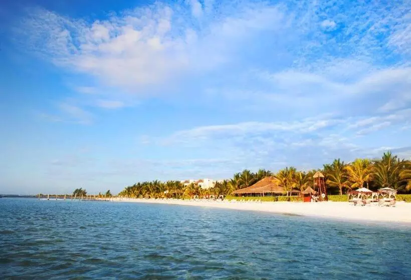 호텔 El Dorado Maroma Catamarán, Cenote & More Inclusive