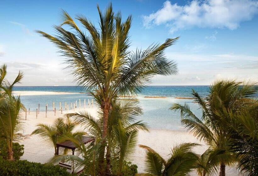 فندق El Dorado Maroma Catamarán, Cenote & More Inclusive