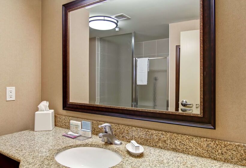 Hotel Hampton Inn By Hilton Sudbury